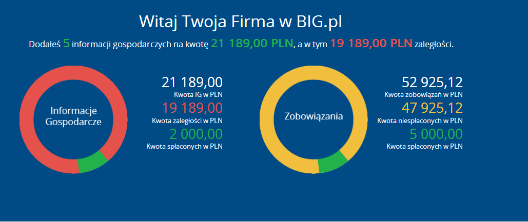 Instrukcja Użytkownika System BIG.pl Strona 17 z 170 Aby wejść w szczegóły wybranej zakładki należy kliknąć jej nazwę. 6.