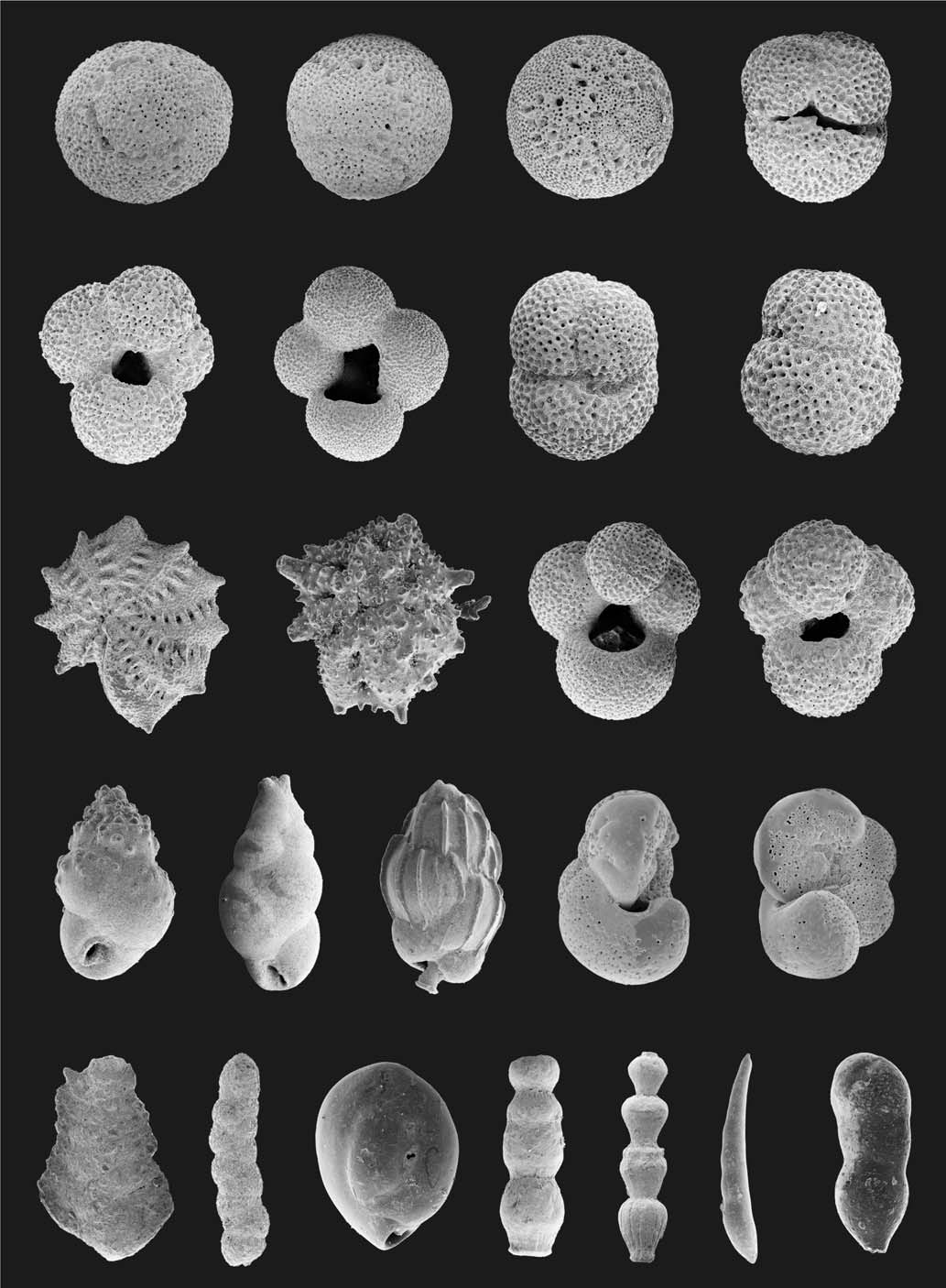 Biul. Pañstw. Inst. Geol.