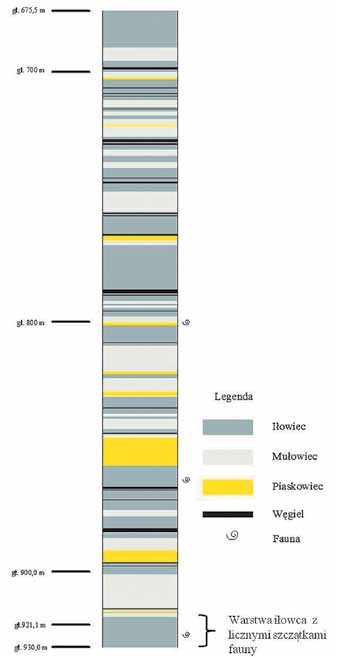 188 PRZEGLĄD GÓRNICZY 2014 Udział piaskowców w profilu jest niewielki (8 %) i są to głównie drobnoziarniste, jasnoszare zwięzłe piaskowce laminowane mułowcem, iłowcem, substancją węglistą i syderytem
