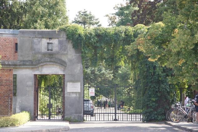 to można uznać za niewykorzystany potencjał gminy. Jest tu za mały parking, oprócz muzeum nie ma innych atrakcji dla turystów. Na pozostałym obszarze nie występują cenne obiekty i zabytki.