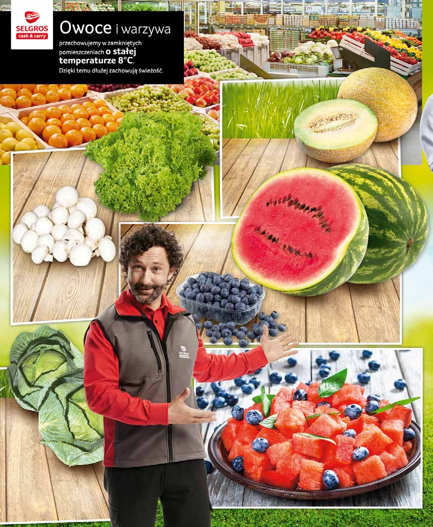2 37 z VAT 2.49 SAŁATA LOLLO BIONDA kraj pochodzenia: Polska sprzedaż po MELON GALIA kraj pochodzenia: Hiszpania sprzedaż po duży kaliber 4 75 z VAT 4.