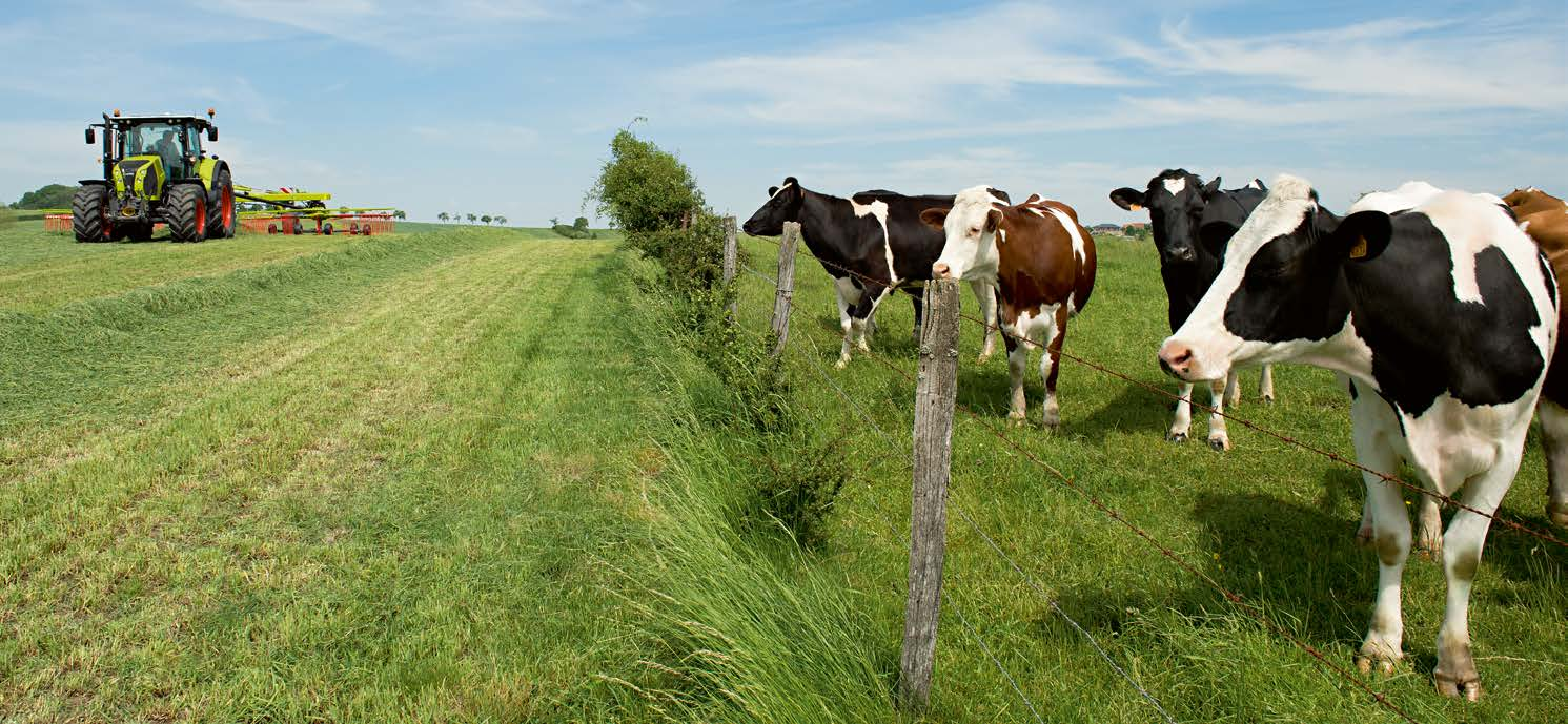 Dla specjalistów. Jakość zbioru Dopracowane w każdym detalu. Decyduje właściwy moment. Także kolejny sezon musi być udany. Nasze produkty są wzajemnie optymalnie dopasowane.