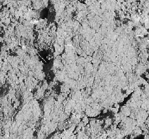 Luvisols. One of them is the occurrence of clear clay infiltrations in the enrichment horizon (B), which further was classified as Bbr and depicted in the profiles studied (Fig. 5)