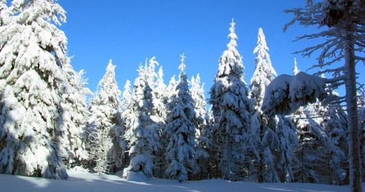 *** Ski-camp w sudeckiej górskiej chacie *** Firma DobraIntegracja.pl wraz z serwisem narciarz.pl zaprasza na marcowe szusowanie w Sudetach. Pobyt weekendowy 3 dniowy. Od 19 do 21 Marca.