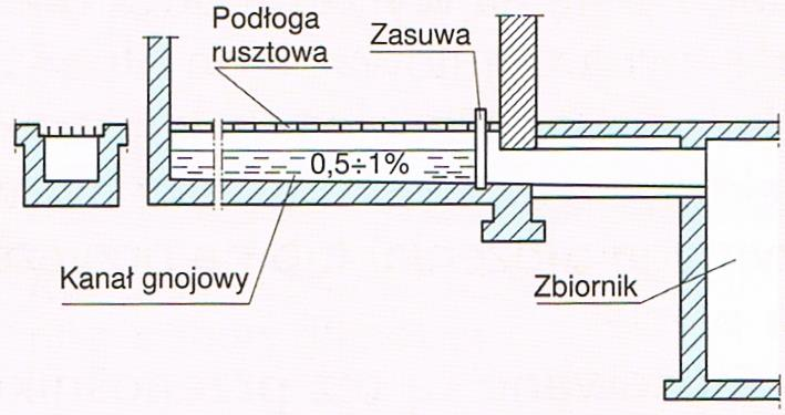 zakryty jest kanał gnojowy, a przy chowie trzody chlewnej ruszt stanowi całą podłogę, przez którą odchody przedostają się do kanałów gnojowych.