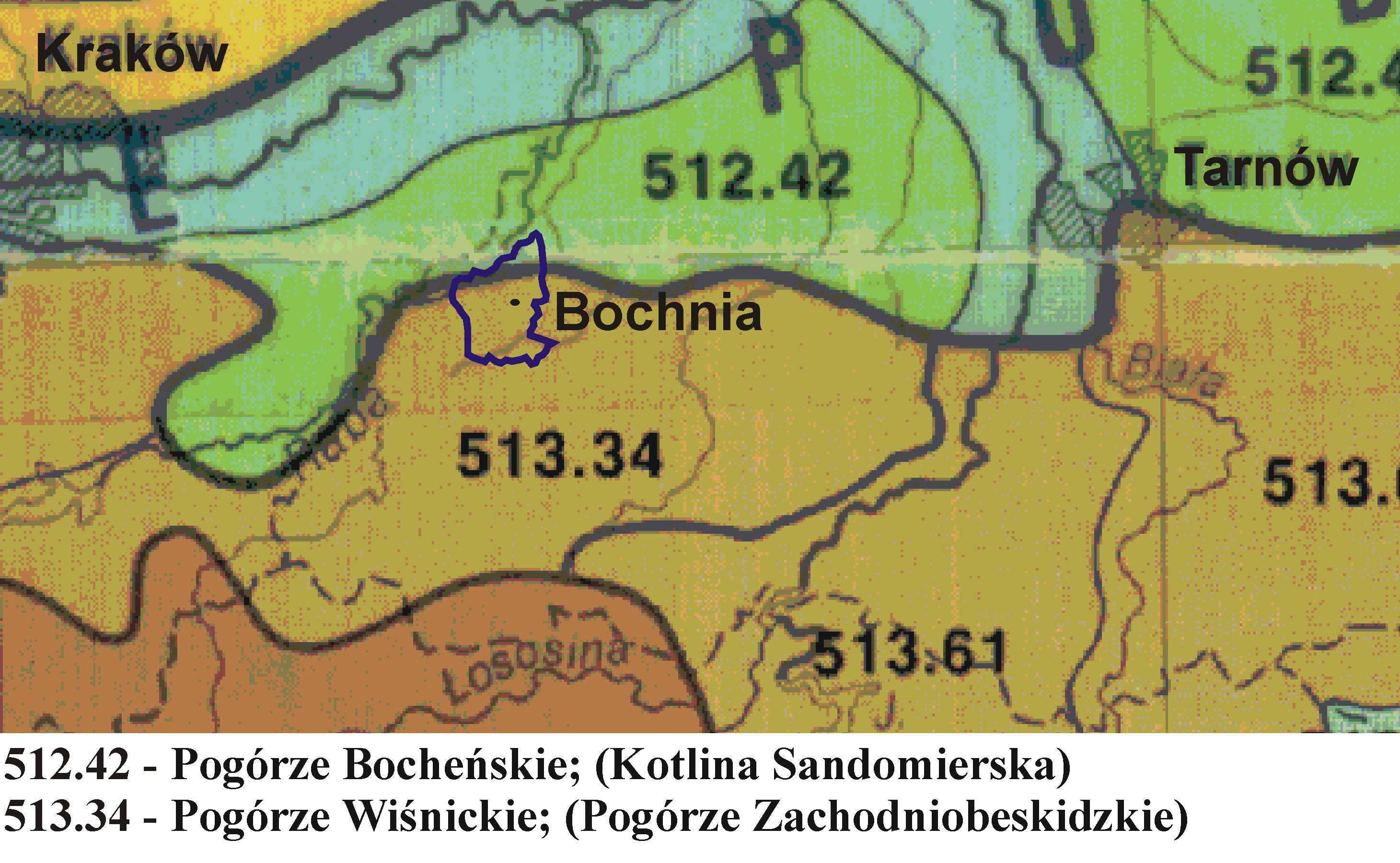 Grunty leśne 4,81 2,5 Opracowano na podstawie danych Starostwa Powiatowego w Bochni oraz mapy ewidencji gruntów osiedla Kurów W strukturze użytkowania gruntów największy udział mają użytki rolne (w