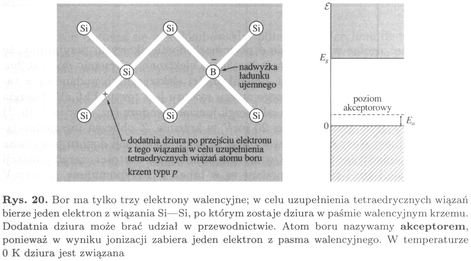 Półprzewodnik typu p Atom wychwytujący e- nazywa się akceptorem.