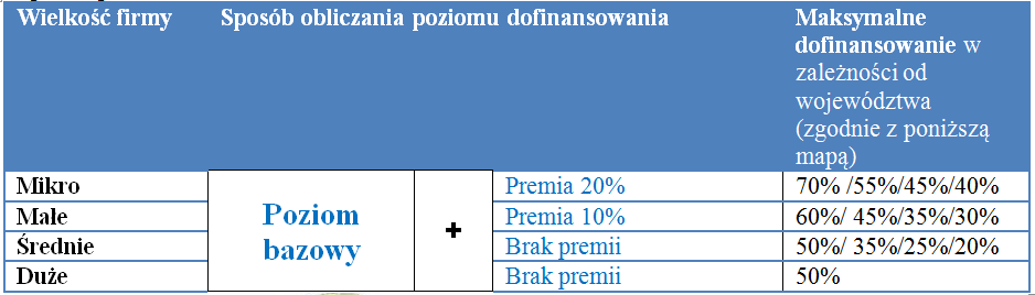 Wsparcie przedsiębiorstw poziom regionalny,