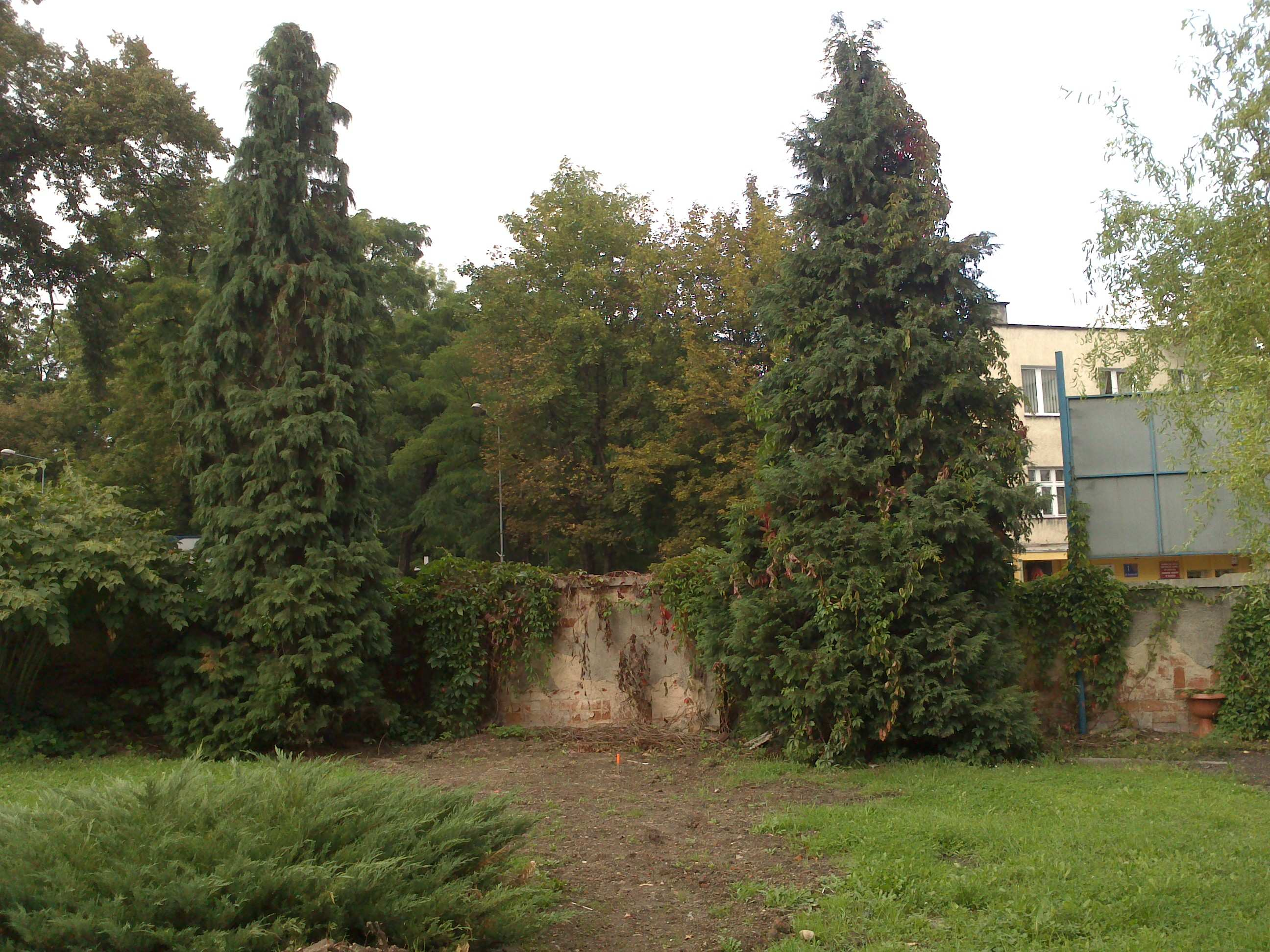 Prace wykończeniowe 1- uporządkowanie nawierzchni z asfaltobetonu chodnika ulicy Kościuszki 2- uporządkowanie terenu działki 99 rozłożenie warstwu urodzajnej ziemi wzdłuż muru 3- posadzenie w