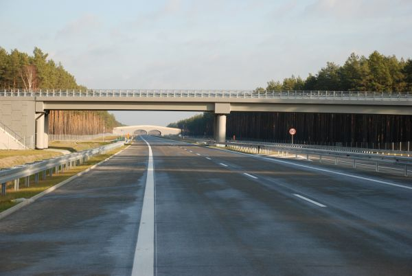 Przejście dla zwierząt AUTOSTRADA WIELKOPOLSKA