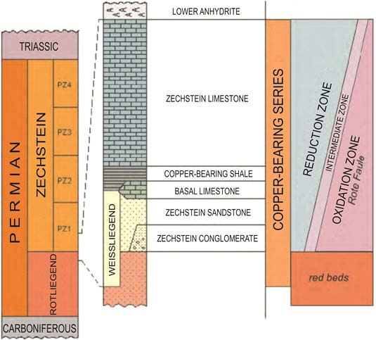 6 Oszczepalski et al.