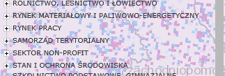 Portal Informacyjny y Statystyki y