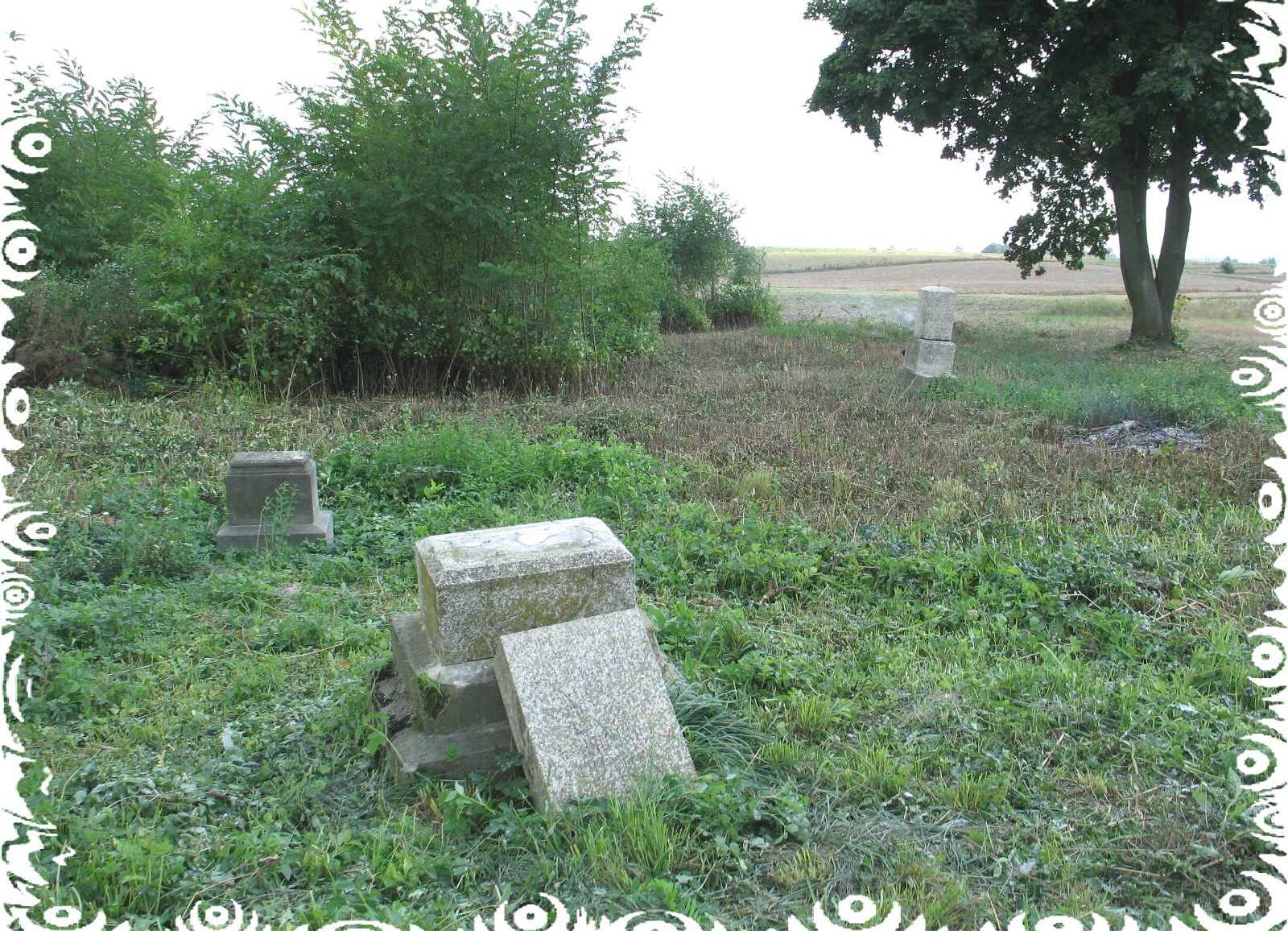 Biuletyn informacyjny Urzędu Gminy Wierzbica rolnym po ukończeniu 16 roku życia, przed dniem 1 stycznia 1983 r. od których zależy prawo do emerytury w myśl przepisów emerytalnych.