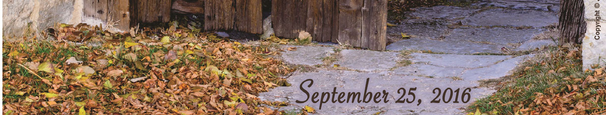 26th Sunday in Ordinary Time, September 25th, 2016 XXVI Niedziela Zwykła, 25 wrzesień, 2016 2315 W. Augusta Blvd., Chicago, IL 60622 Phone (773) 235-3575 Fax (773) 235-3810 sthelen@archchicago.