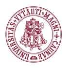 VYTAUTO DIDŽIOJO UNIVERSITETAS POLITIKOS MOKSLŲ IR DIPLOMATIJOS FAKULTETAS VIEŠOSIOS KOMUNIKACIJOS KATEDRA Monika Elwira Kutylo LENKIJOS ŽINIASKLAIDOS PRANEŠIMAI IR INTERNAUTŲ KOMENTARAI APIE 2010 M.