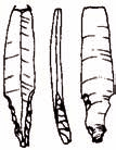 216 ZOFIA SULGOSTOWSKA a c b d 0 3 cm e f g h Ryc. 9. Gulin, pow. Radom.