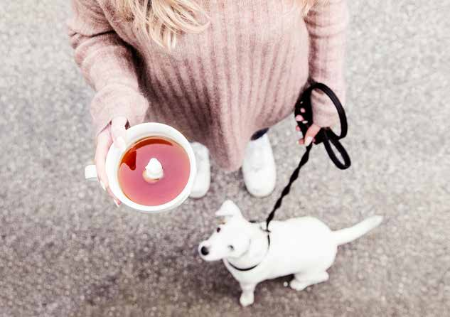 CAFÉ Cat kubek Porcelana. Spełnienie marzeń dla miłośnika kotów. Bardzo duży kubek do kawy/herbaty z umieszczonym na dnie kotem. Art.