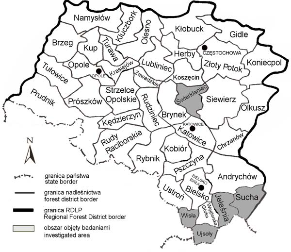 Szkody wyrządzone przez pioruny w lasach południowej Polski.
