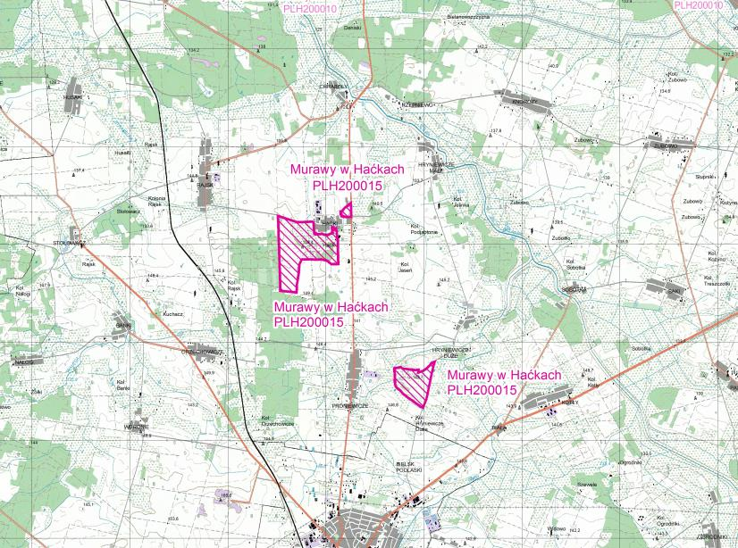 Rysunek 11. Położenie obszaru Natura 2000 Murawy w Haćkach Źródło: http://natura2000.gdos.gov.pl/datafiles/index/name:murawy%20w%20ha%c4%87kach/all:0 [Data wejścia: 31.07.2014 r.].