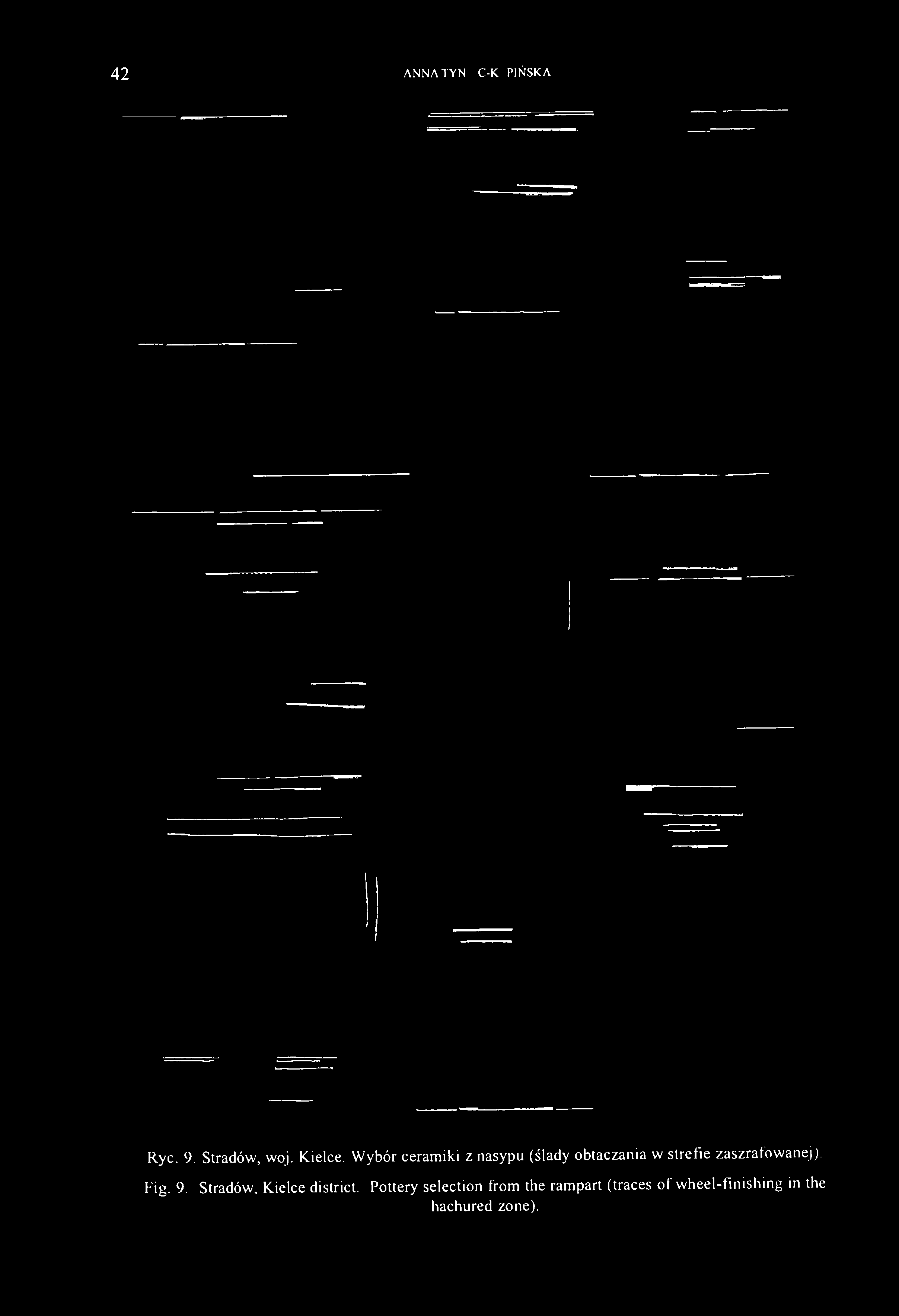 42 ANNA TYN1EC-KĘPIŃSKA Ryc. 9. Stradów, woj. Kielce.