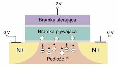 Komórka flash Komórka flash używa dwóch tranzystorów polowych. Jeden jest nazywany bramką sterującą (ang. control gate), drugi zaś bramką pływającą (ang. floating gate).