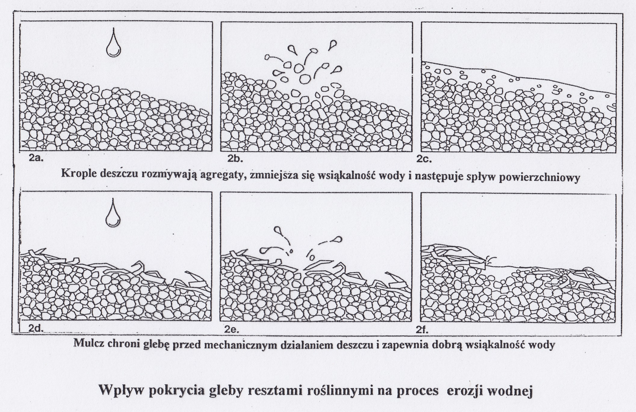 Wpływ pokrycia gleby resztkami roślinnymi na proces erozji wodnej Źródło: Kuś 1998 Skuteczność różnych