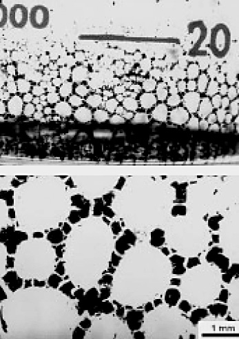 Inną grupą pochodnych cukrowców o istotnym znaczeniu dla biotechnologii są glikodendrymery [16]. Jedną z możliwych struktur tych silnie rozgałęzionych związków przedstawia rysunek 9.