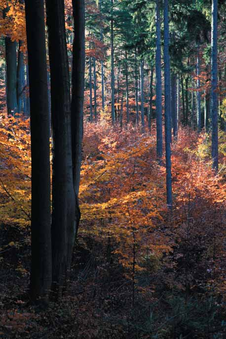 Przebudowa