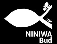 Nie budujemy w Kokotku! Mamy różne zamiary i plany, ale widzimy, że Bóg chce nam dać znacznie więcej. Dlatego nie zbudujemy nowego domu w Kokotku powstanie coś dużo większego!