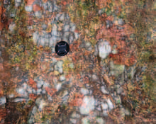 Skał żyłowych w granitach karkonoskich spotkamy więcej. Szarą barwą cechują się żyły kwarcowe, zwykle o niewielkiej grubości kilku centymetrów lub nawet poniżej 1 cm.
