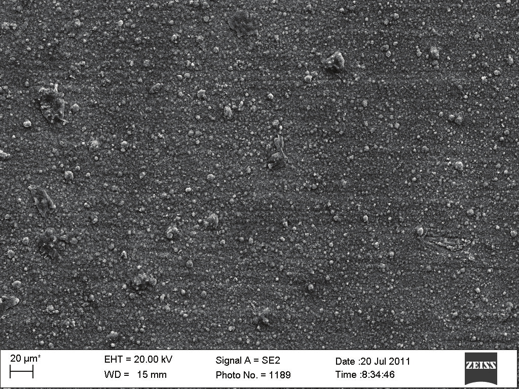 powierzchni próbek zaobserwowano krystality słupkowe wzrastające ponad powierzchnię w różnych kierunkach (rys. 10).