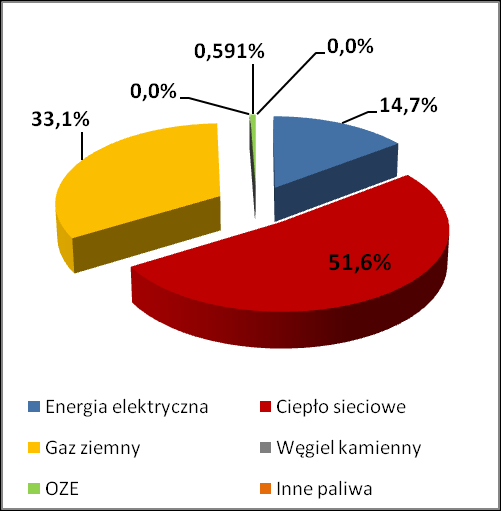 Procentowe udziały w powyższym poszczególnych nośników energii przedstawiono na wykresach poniżej.