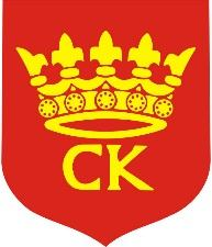 Załącznik Nr 2 Analiza ankiety internetowej przeprowadzonej na stronie IDEA Kielce Objaśnienie: Wypowiedzi ankietowanych podzielono na trzy grupy, biorąc pod uwagę odpowiedź na pytanie Czy