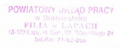 - 1 - Informacja o sytuacji na rynku pracy w mieści i gminie Łapy 1. Poziom i struktura bezrobocia na terenie miasta i gminy Łapy wg stanu na dzień 30 kwietnia 2008r.
