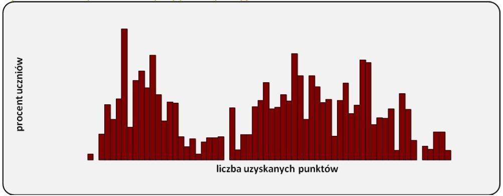 Interpretacja jako wyzwanie Wyniki diagnozy przedmaturalnej z
