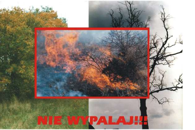 Nasze hasło to: NIE WYPALAJ!!! Jak już wspomniano wypalanie traw to także bardzo duże zagrożenie dla lasów.