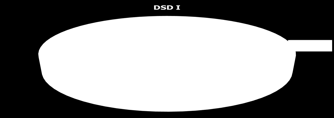 Egzaminy DSD I na