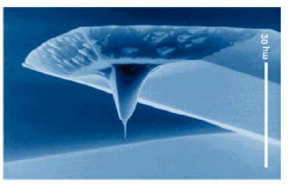 Dźwignia tapping mode Długość 5 µm Szerokość 3 µm Grubość 3 µm Wysokość µm Stała sprężystości