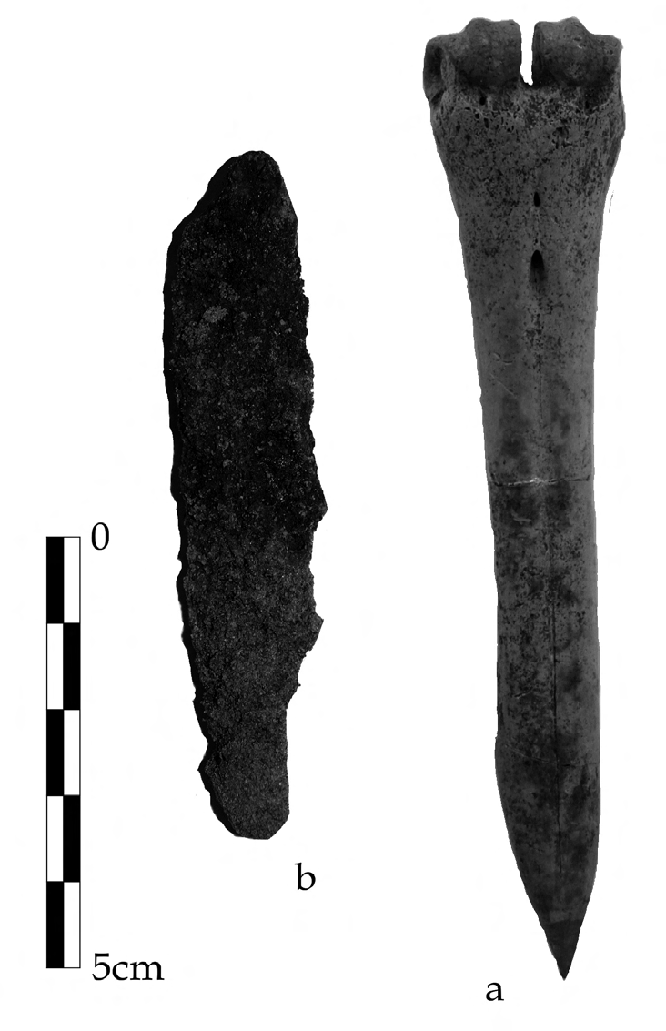 Grodzisko w Ornowie-Lesiaku w świetle wyników ostatnich badań archeologicznych 135 Ryc. 11.