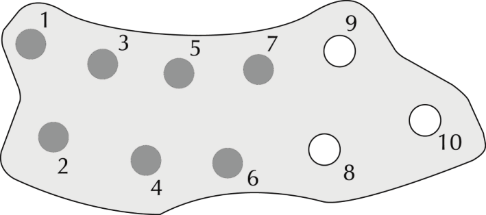 Antibody Reagent (R1) zawiera: cząstki sprzężone z mysimi przeciwciałami HbA1c; albumina surowicy bydlęcej; bufor; związki powierzchniowo czynne; konserwanty.