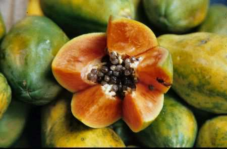 Wartość odżywcza owocu: Owoc ten zawiera w 100 g: 41 kcal, 0,1 g tłuszczu, 0,6 g białka, 11,1 g węglowodanów, 1,9 g błonnika pokarmowego Papaja jest doskonałym