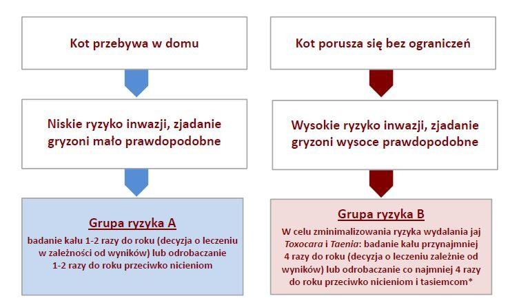 Dla kotów zagrożenie inwazją pasożytów wewn.