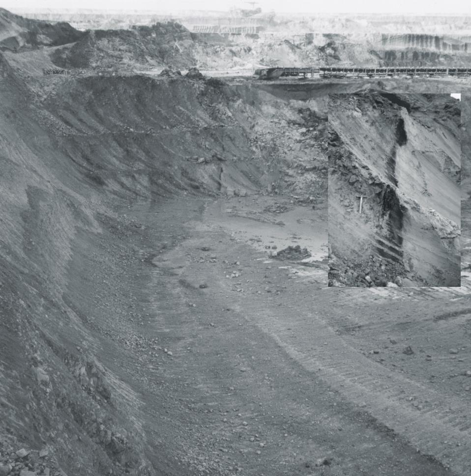 WARZTATY 4 z cyklu Zagrożenia naturalne w górnictwie Budowa rowu znacznie komplikuje się we fragmencie pomiędzy liniami przekrojów geologicznych 56 65, zwanym Rowem II-rzędu, 2 razy głębszym niż