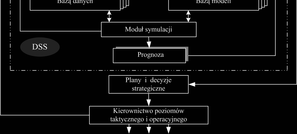 POLSKIE STOWARZYSZENIE ZARZ DZANIA WIEDZ Seria: Studia i Materiały, nr 8, 2007 175 Potrzeba analizy funkcjonalno-strukturalnej oraz formalizacji procesów decyzyjnych systemów