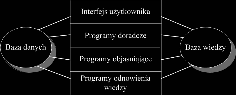 176 Tatiana Tretyakova Metodyka analizy funkcjonalno-strukturalnej procesów decyzyjnych i jej rola w in ynierii wiedzy dla systemów informacyjnych Na rys.