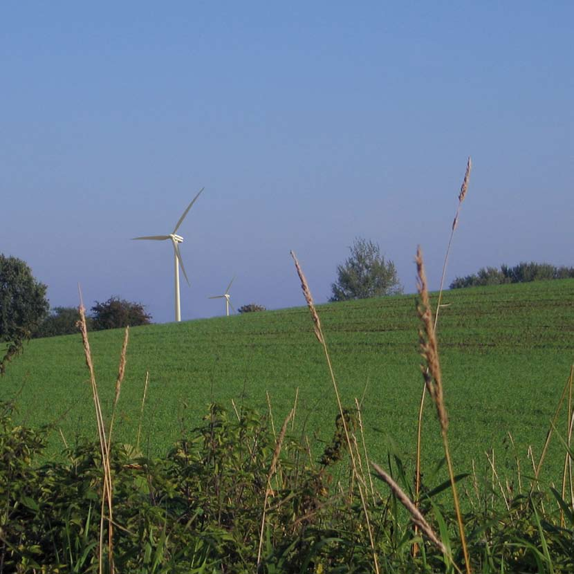 Dziedziny działalności Dziedziny działalności Poszukiwanie lokalizacji: Volkswind stale poszukuje atrakcyjnych lokalizacji pod budowę nowych przyszłościowych parków wiatrowych.