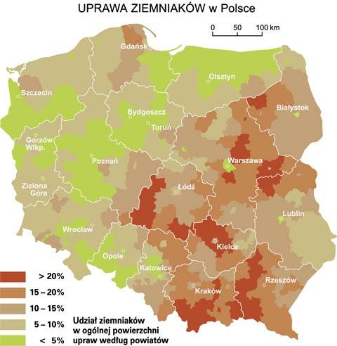 Znaczna koncentrację upraw w Polsce centralnej powoduje zapotrzebowanie rynków dużych aglomeracji miejskich i hodowla trzody chlewnej.