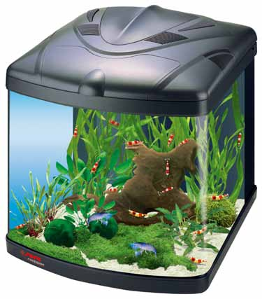 Akwaria biotopowe Typowy biotop dla krewetek W akwarium 60 litrowym, takim jak SERA Biotop Nano Cube 60, zaleca się hodowlę od jednego do trzech gatunków krewetek.