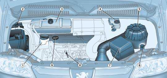 132 INFORMACJE PRAKTYCZNE SILNIK DIESEL TURBO 2,0 / 2,2 LITRY HDI 1 - Zbiornik płynu układu wspomagania kierownicy. 2 - Akumulator. 3 - Zbiornik płynu chłodzącego silnik.