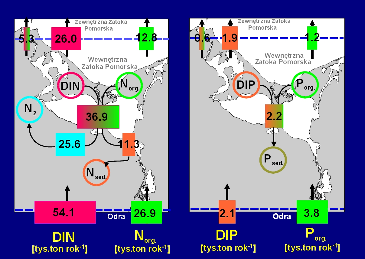 Rys. 3 Graficzna ilustracja wyników bilansu azotu i fosforu dla całego estuarium Odry. Symbole użyte: DIN (DIN=N-NO 3 +N-NO 2 +N-NH 4 ) rozpuszczony azot nieorganiczny, N sed.